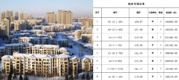 大庆油田房地产开发有限责任公司创业城8套房产拍卖专场